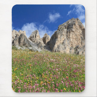 Tapis De Souris Dolomiti - pré fleuri