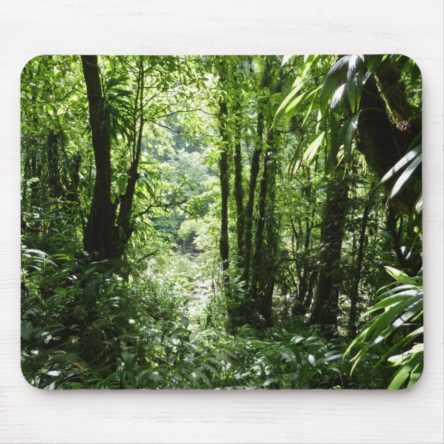 Tapis De Souris Dominicain Forêt de pluie II Vert tropical (Devant)