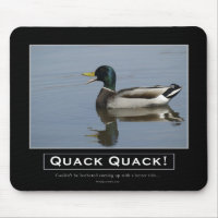 Dons de démotivation de canard-Mallard