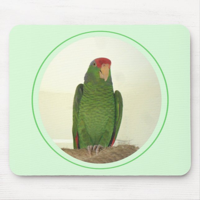 Tapis De Souris Dooley 1 (Devant)