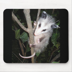 Tapis de souris d'opossum