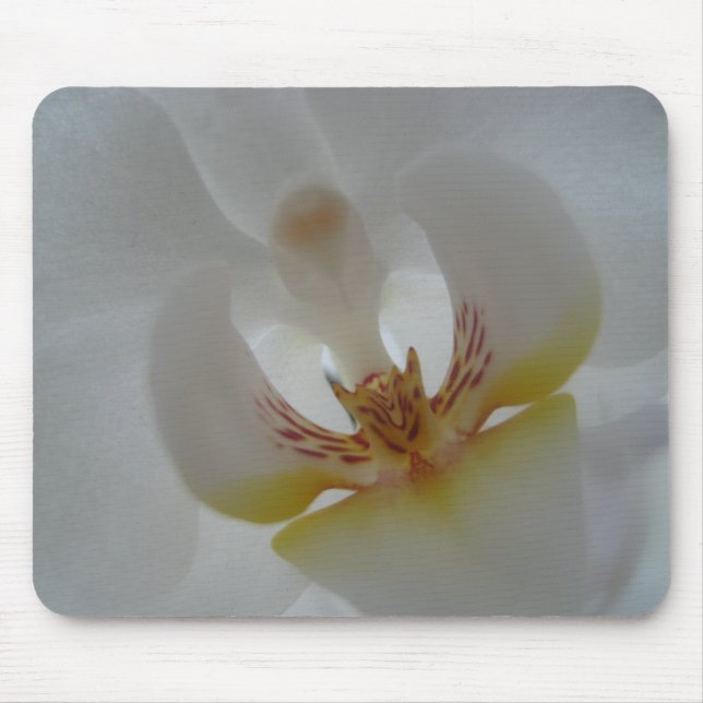 Tapis de souris d'orchidée (Devant)