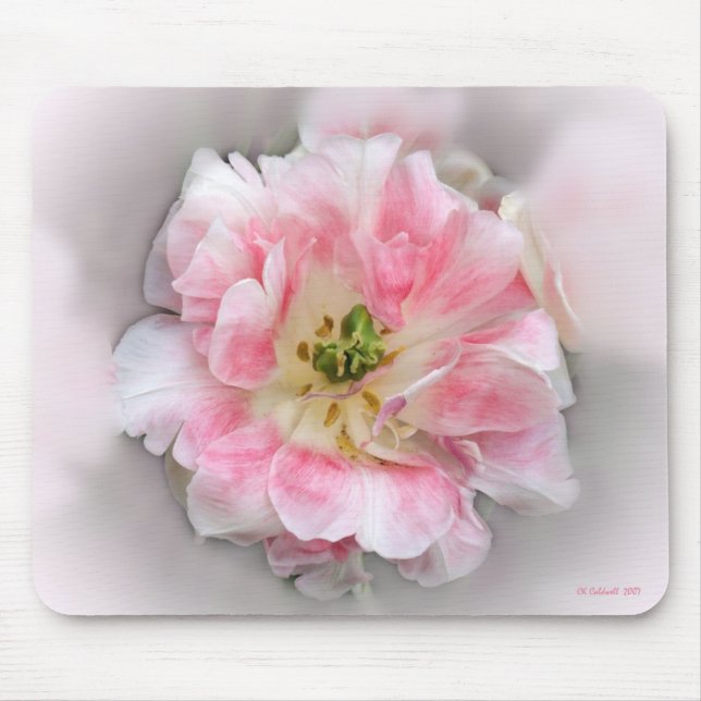 Tapis De Souris Double beauté rose (Devant)
