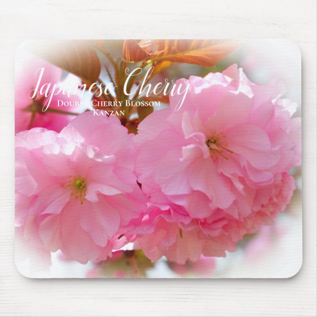 Tapis De Souris Double Cherry Blossom: Kanzan (Devant)