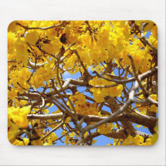 Tapis De Souris Douche d'or