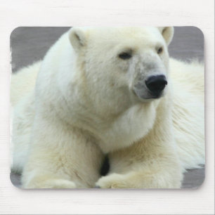 Tapis de souris d'ours blanc