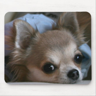 Tapis de souris doux de chiot