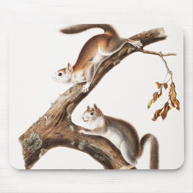 Tapis De Souris Downy Brown Squirrel House (Devant)