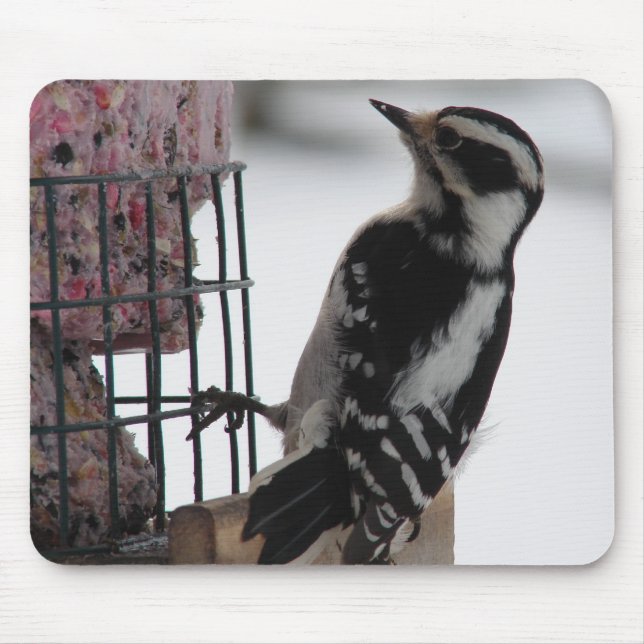 Tapis De Souris Downy Woodpecker (Devant)