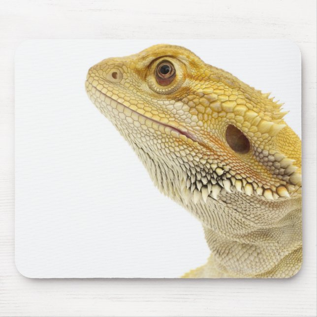 Tapis De Souris Dragon à oreilles (Pogona Vitticeps) (Devant)