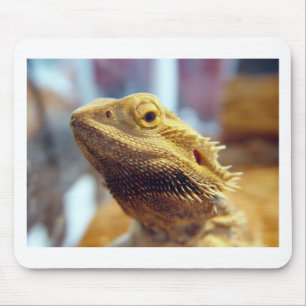 Tapis De Souris Dragon barbu
