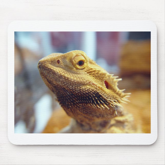 Tapis De Souris Dragon barbu (Devant)
