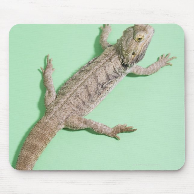 Tapis De Souris Dragon barbu (Devant)