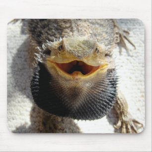 Tapis De Souris Dragon barbu oriental - barbata de Pogona