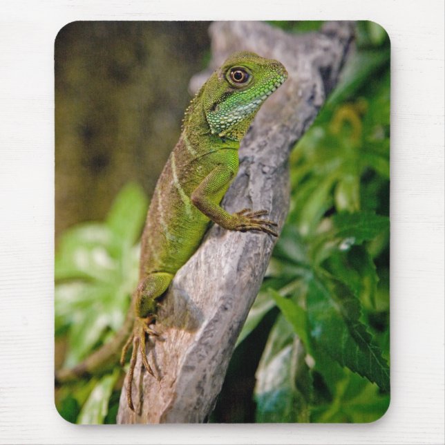 Tapis de souris Dragon d'eau chinois (Devant)