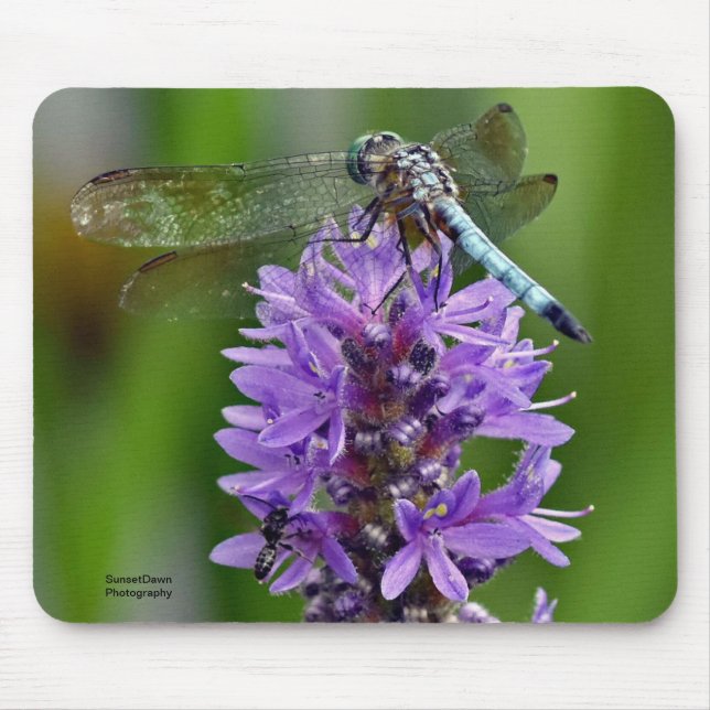 Tapis De Souris Dragonfly 2 (Devant)