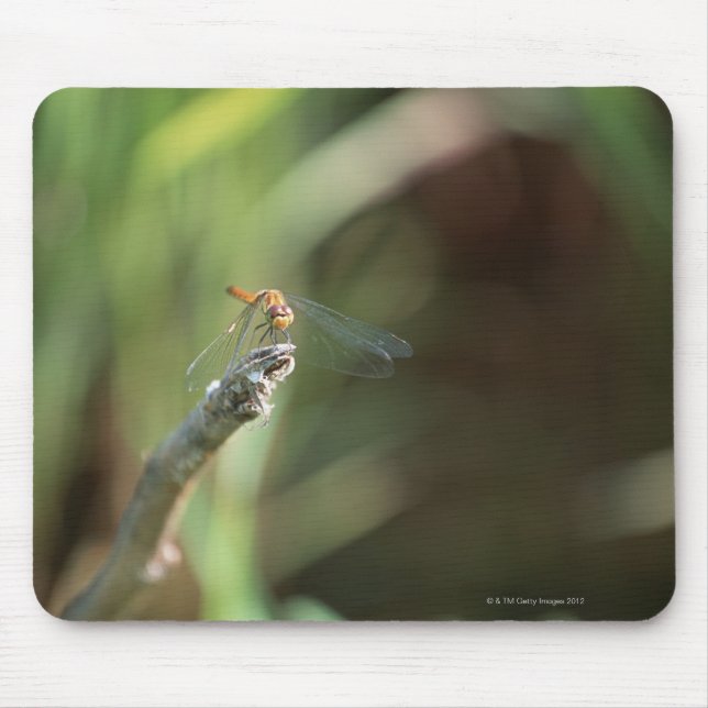 Tapis De Souris Dragonfly 5 (Devant)