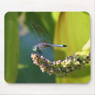 Tapis De Souris Dragonfly aux yeux turquoises