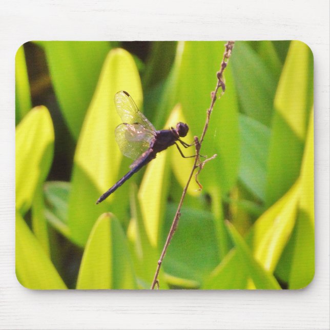 Tapis De Souris Dragonfly Blue and black on grass. (Devant)