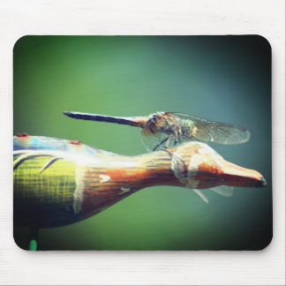 Tapis De Souris Dragonfly Co Pilot Nature