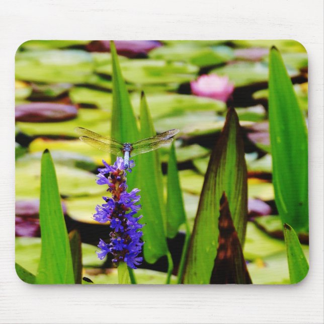 Tapis De Souris Dragonfly lotus and purple flower (Devant)