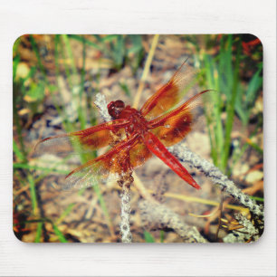 Tapis De Souris Dragonfly Orange