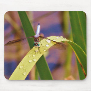 Tapis De Souris Dragonfly sur la feuille de pluie