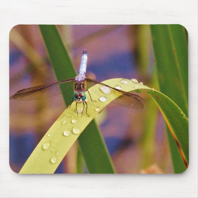 Tapis De Souris Dragonfly sur la feuille de pluie (Devant)