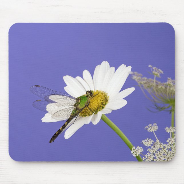 Tapis De Souris Dragonfly sur White Daisy (Devant)