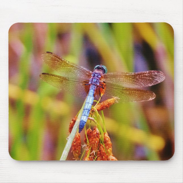 Tapis De Souris Dragonfly turquoise sur le carex (Devant)