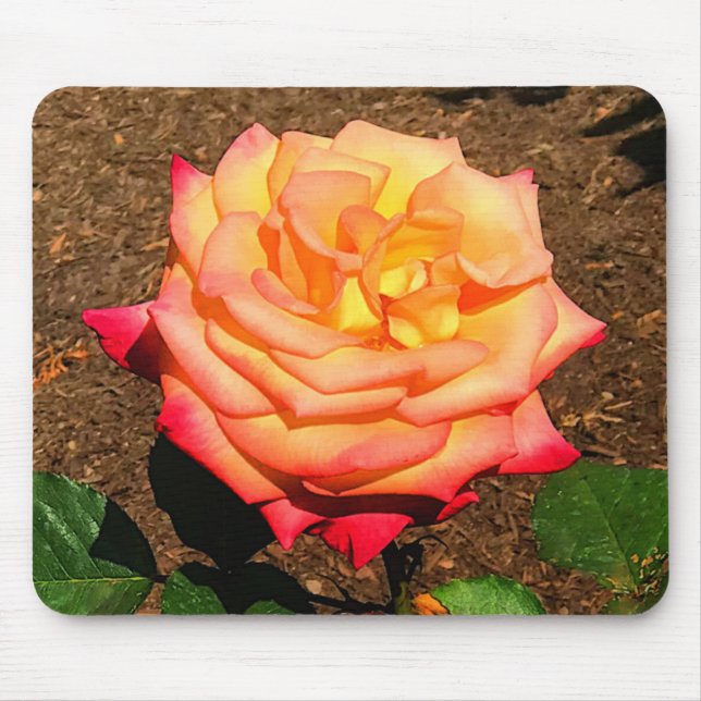 Tapis De Souris Dream Come True Rose #3 Pad souris (Devant)