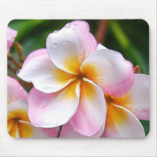 Tapis De Souris Dream Palette: Franjipani flower