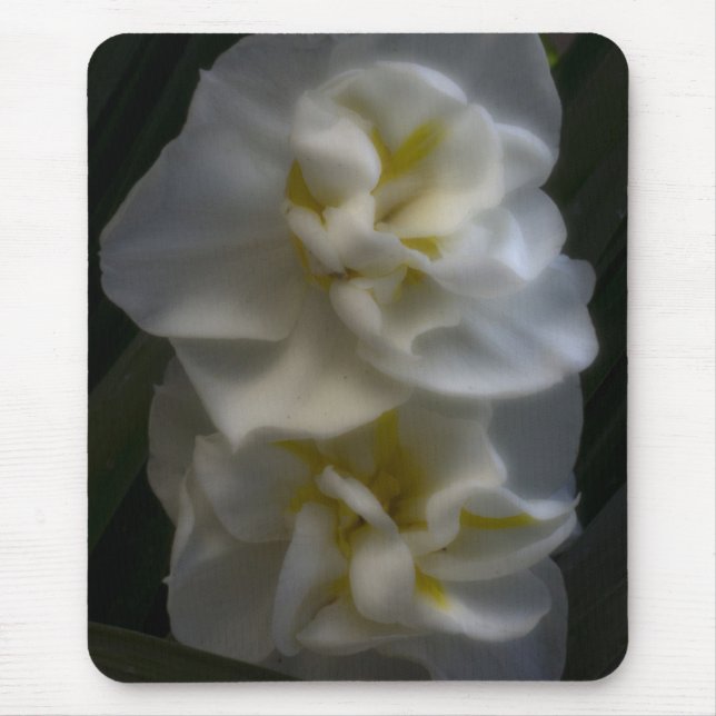 Tapis De Souris Dreamy Narcissus Daffodils (Devant)