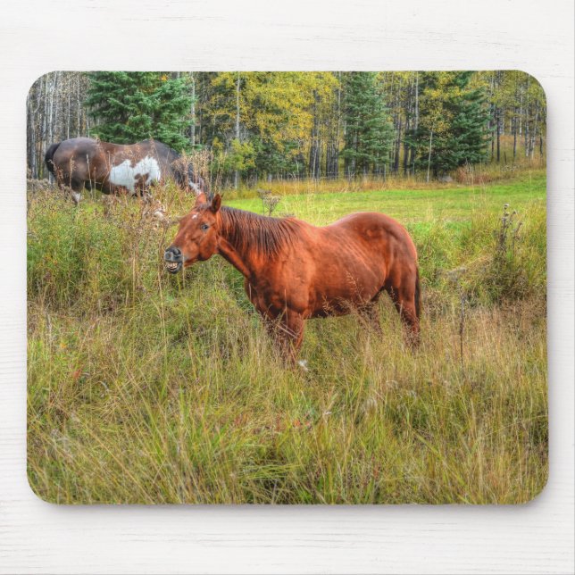 Tapis De Souris Drôle Grinning Chestnut Mare & Pasture Photo (Devant)