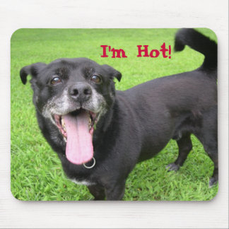 Tapis De Souris Drôle Hot Dog Souris Pad