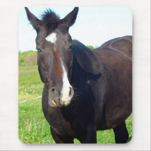 Tapis De Souris Drôle Mare