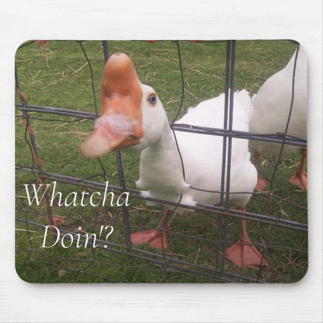 Tapis De Souris Drôle Photos Animales Pad Souris (Devant)