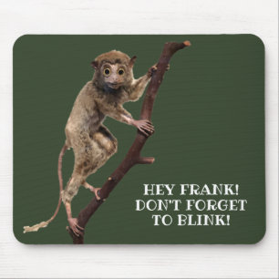 Tapis De Souris Drôle Taxiderme bizarre Singe Lemur Primate