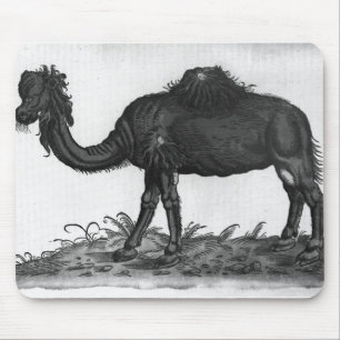 Tapis De Souris Dromadaire, de 'Historial Animalium