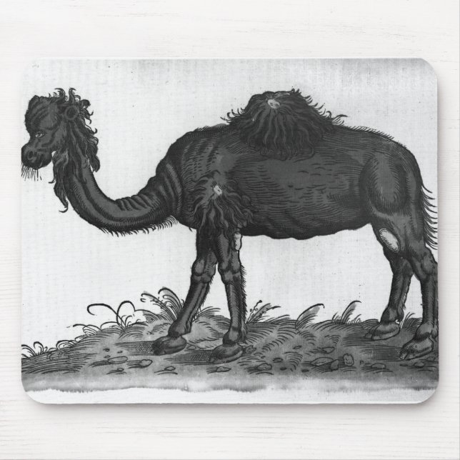 Tapis De Souris Dromadaire, de 'Historial Animalium (Devant)