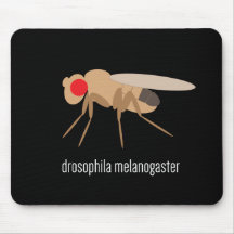 Drosophile Mousepad