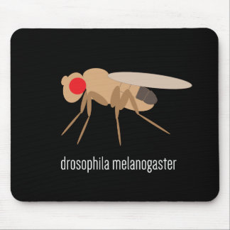 Tapis De Souris Drosophile Mousepad