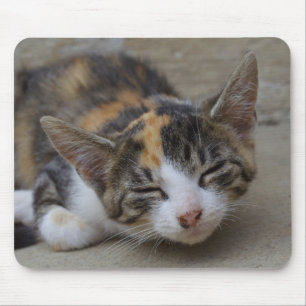 Tapis De Souris Drowsing Calico Kitten