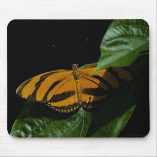Tapis De Souris Dryad Mousepad