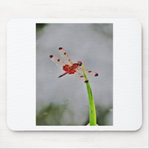 TAPIS DE SOURIS DSC00029.JPG