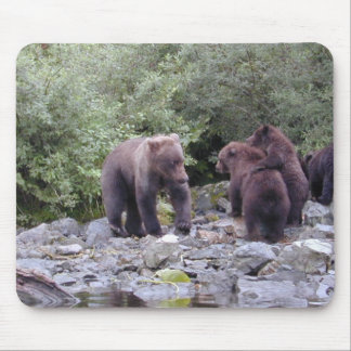 TAPIS DE SOURIS DSCN0088