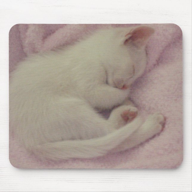 TAPIS DE SOURIS DSCN0654 (Devant)