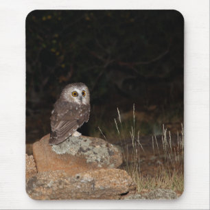 Tapis De Souris Du nord a vu pour affûter la chasse de hibou la