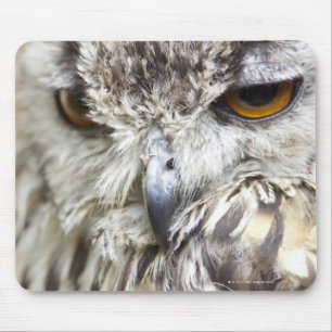 Tapis De Souris Duc du Bengale