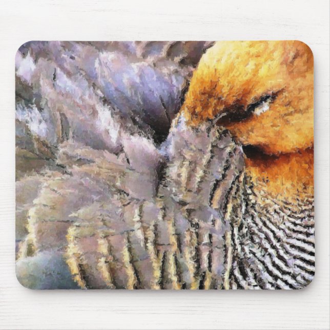 TAPIS DE SOURIS DUCKS (Devant)